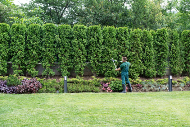 Best Hedge Trimming  in Key Largo, FL